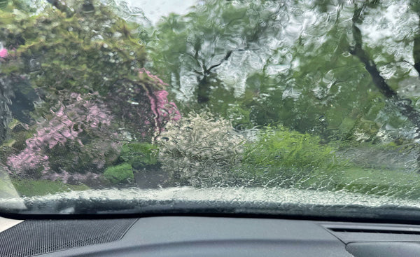 How You Know It's Spring in Beef Country.
