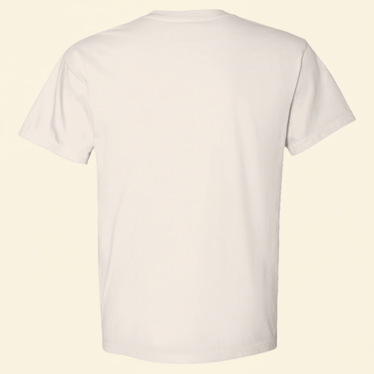 back view of short sleeve ivory tee shirt
